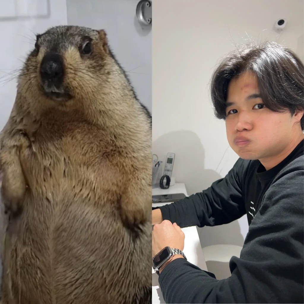 Marmot and Nakanishi