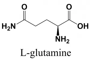 glutamine